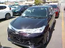 Axio 2018 G Push Wine NRE161-0053787