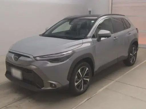 CR-V 2019 EX Masterpiece Grey RW1-1003367
